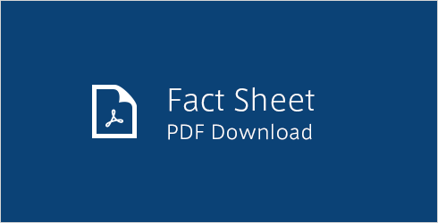 Fact Sheet PDF Download